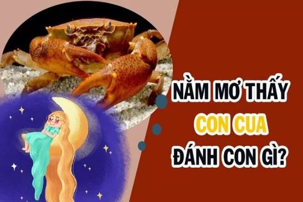 mơ thấy cua đánh con gì dễ trúng