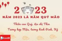 Năm 2023 là năm con gì